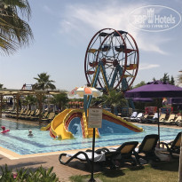 фото из отзыва ID 1745910