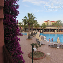 фото из отзыва ID 1745980