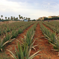 фото из отзыва ID 1746027