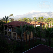 фото из отзыва ID 1745807