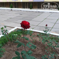 фото из отзыва ID 1746090