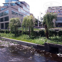 фото из отзыва ID 1746330