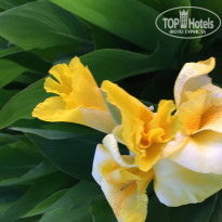 фото из отзыва ID 1746570