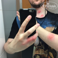 фото из отзыва ID 1746575