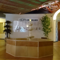 фото из отзыва ID 1746586