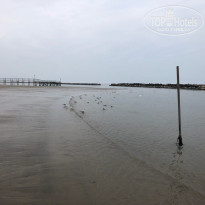 фото из отзыва ID 1746626