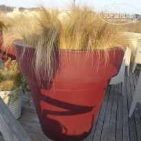 фото из отзыва ID 1746693