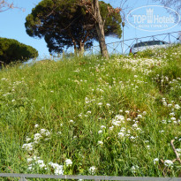 фото из отзыва ID 1746693