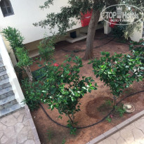 фото из отзыва ID 1746787