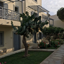 фото из отзыва ID 1746787