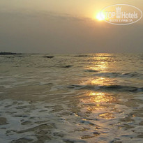 фото из отзыва ID 1746925