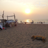 фото из отзыва ID 1746925