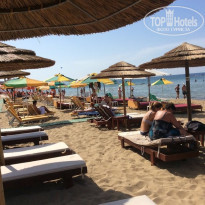 фото из отзыва ID 1747043