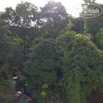 фото из отзыва ID 1747063