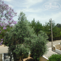 фото из отзыва ID 1747109