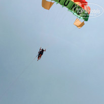 фото из отзыва ID 1744762