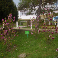 фото из отзыва ID 1747362