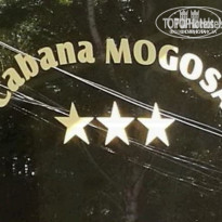 фото из отзыва ID 1747720