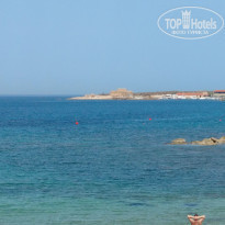 фото из отзыва ID 1747766