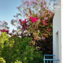 фото из отзыва ID 1747766