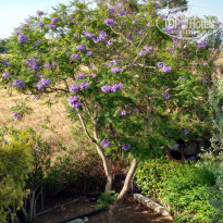 фото из отзыва ID 1747766