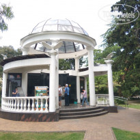 фото из отзыва ID 1747820