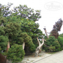 фото из отзыва ID 1747820