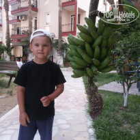 фото из отзыва ID 1747940