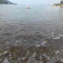 фото из отзыва ID 1747970