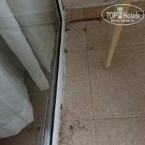 фото из отзыва ID 1748098