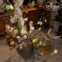 фото из отзыва ID 1748171