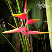 фото из отзыва ID 1748376