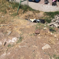 фото из отзыва ID 1748379