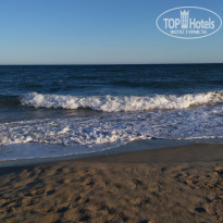 фото из отзыва ID 1747348