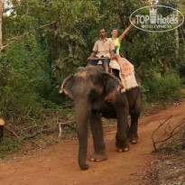 фото из отзыва ID 1748429