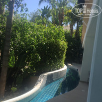 фото из отзыва ID 1748463