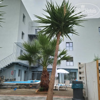 фото из отзыва ID 1748589