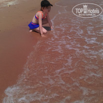 фото из отзыва ID 1748609