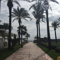 фото из отзыва ID 1748702