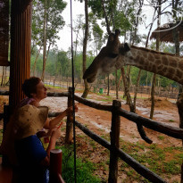 фото из отзыва ID 1748717