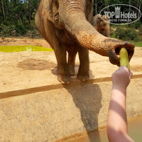 фото из отзыва ID 1748717