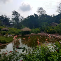 фото из отзыва ID 1748717