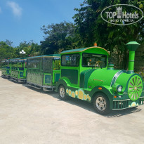 фото из отзыва ID 1748717