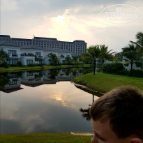 фото из отзыва ID 1748717