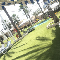 фото из отзыва ID 1748779