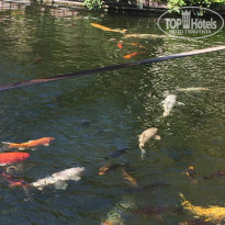 фото из отзыва ID 1748463