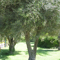 фото из отзыва ID 1749088