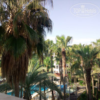 фото из отзыва ID 1746357