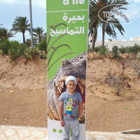 фото из отзыва ID 1749197