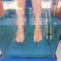 фото из отзыва ID 1749197